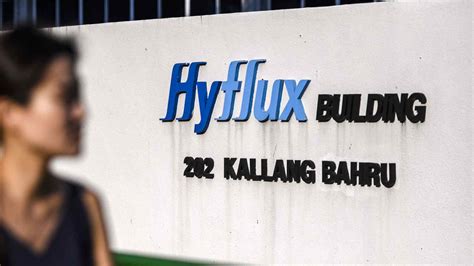 hyflu|What liquidation of Singapore's Hyflux can teach entrepreneurs.